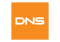Логотип: DNS