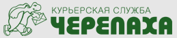 Логотип: Черепаха